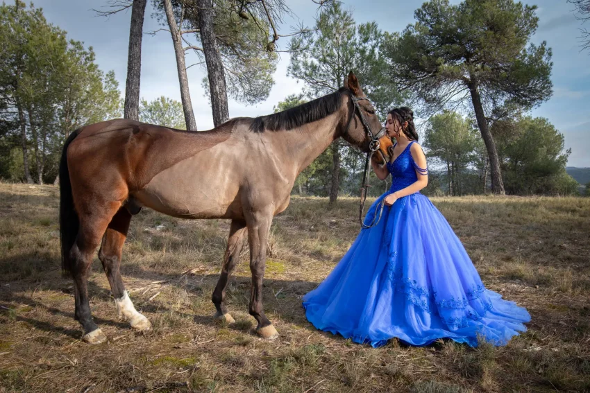 fotografa equestre
